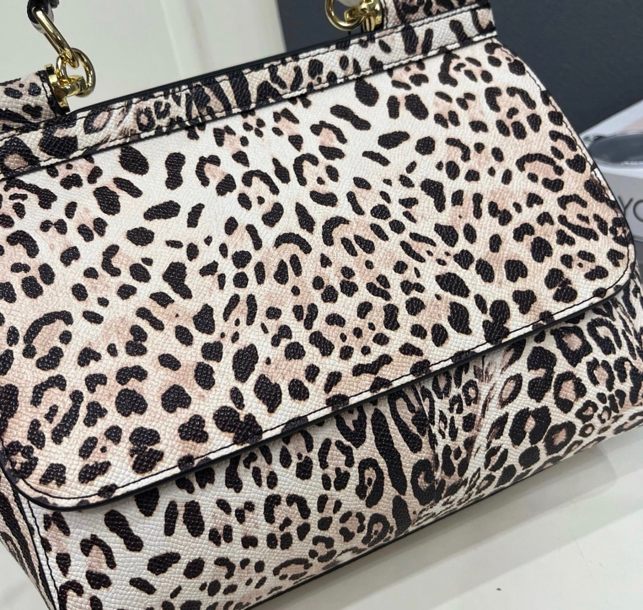 Leopard Print Bag