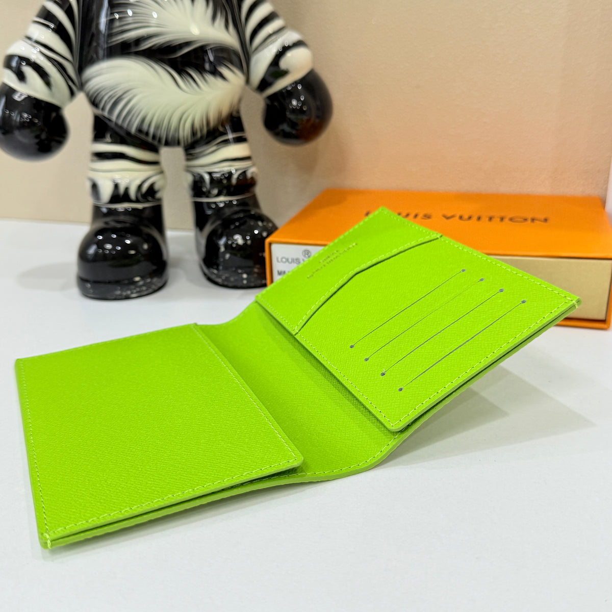 Aerial Illustration Passport Holder