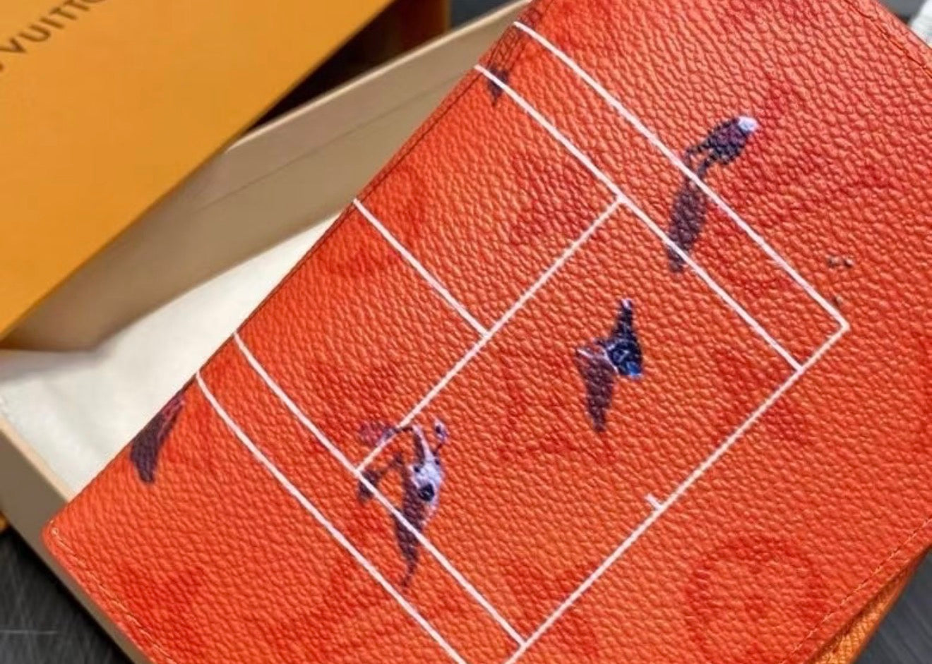 Aerial Illustration Passport Holder