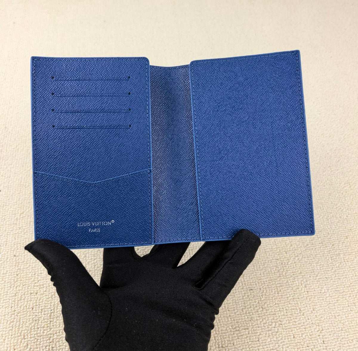 Aerial Illustration Passport Holder