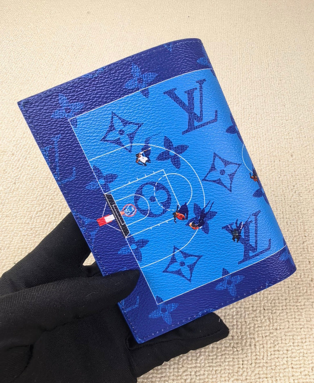 Aerial Illustration Passport Holder