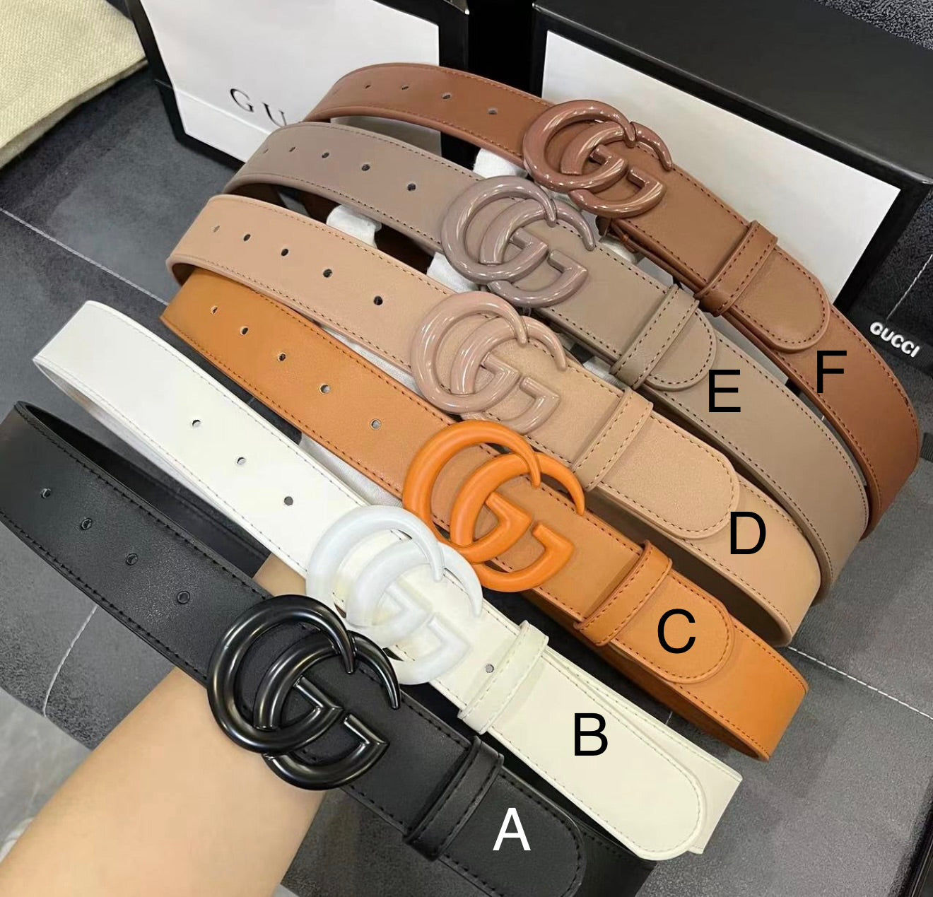 Double Logo Color Match Belt